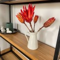 Suszona protea