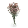 Suszone limonium jasnoróżowe - suszone kwiaty - bukiet