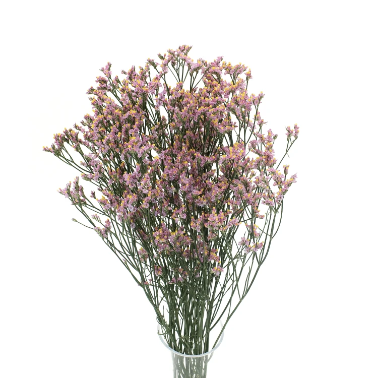 Suszone limonium jasnoróżowe - suszone kwiaty - bukiet