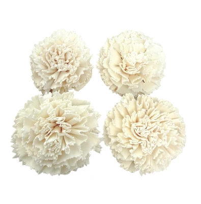 Shola-Blume – weiße Margerite  6 cm (1) (1) (1)