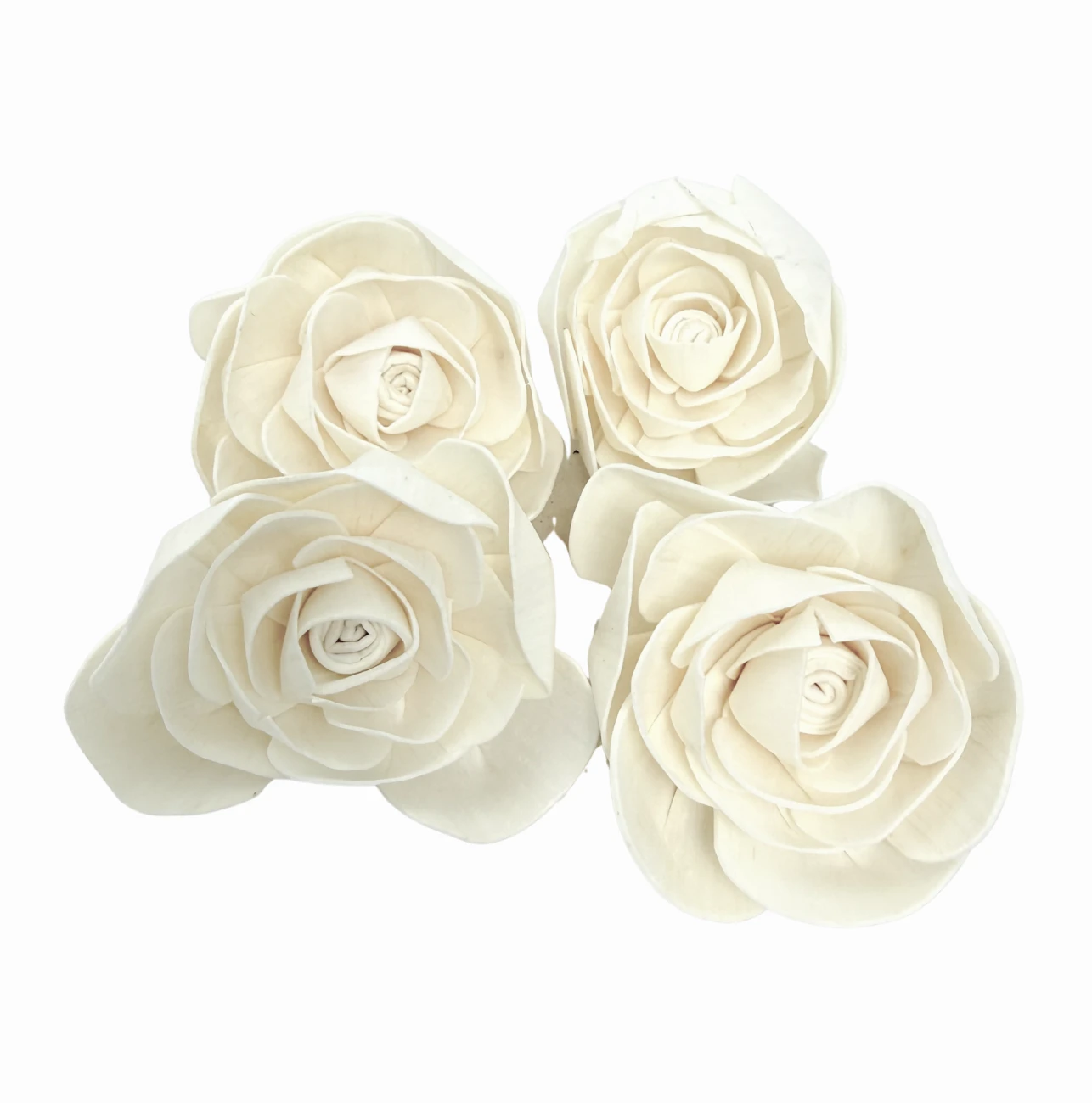 Shola flower - white daisy 6cm (1)