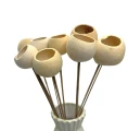 Bell Cup kremowy 3 szt. -