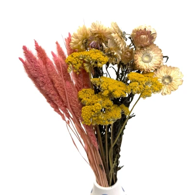 Set getrockneter Blumen Tramonto Größe S – Schafgarbe, Strohblume, Setaria (1)
