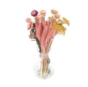 Set getrockneter Blumen Tramonto Größe S – Schafgarbe, Strohblume, Setaria (1)