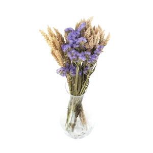 Set getrockneter Blumen Mare Größe S – Strohblume, Celosia, Weizen
