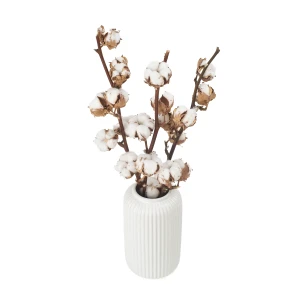 Baumwollzweig 8 Knospen