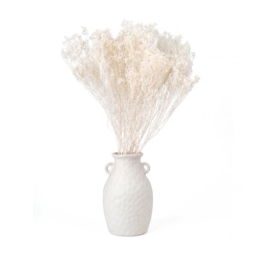 broom bloom bielony
