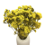 Zatrwian wrębny suszony żółty (limonium)