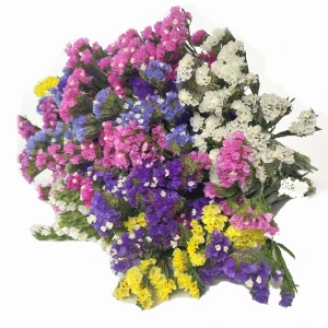 Getrockneter mehrfarbiger Strandflieder (Limonium) – Strauß getrockneter Blüten